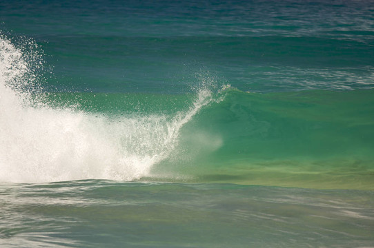 戲劇性的Shorebreak Wave