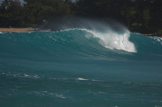 戲劇性的Shorebreak Wave