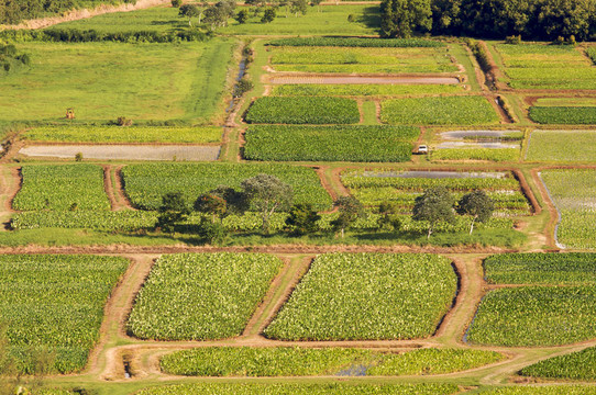 哈納雷山谷和Taro Fields