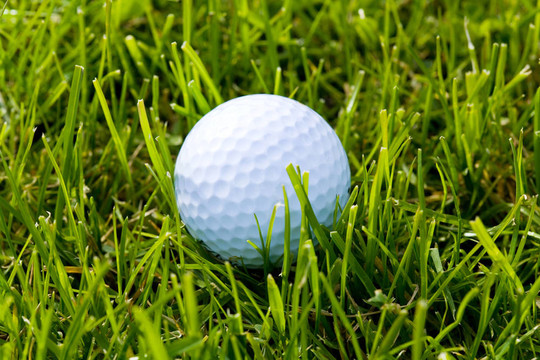Golf Ball和草