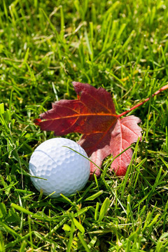 Golf Ball和草
