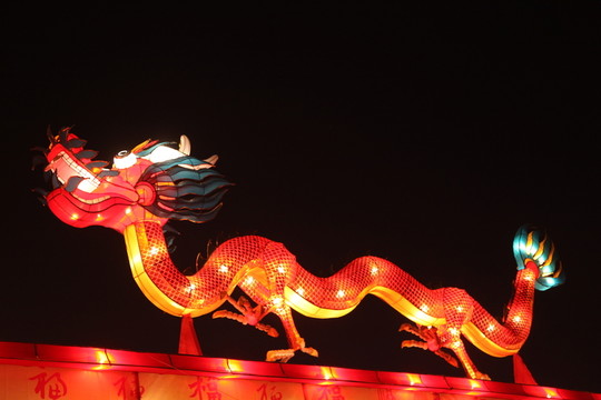 元宵節(jié)新春燈會 龍造型