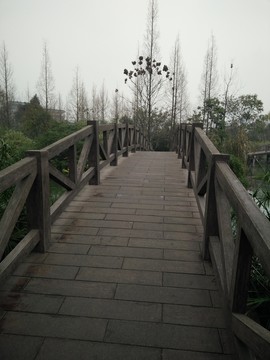 浣花溪景