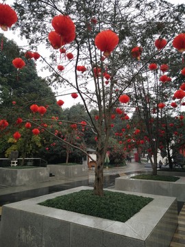 浣花溪樹景