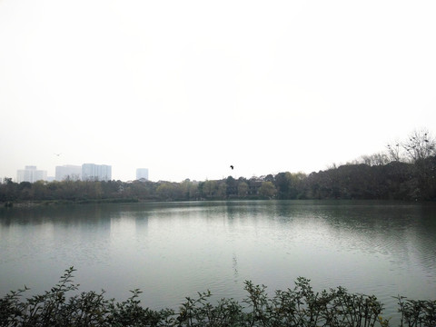浣花溪畔