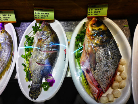 生魚菜譜