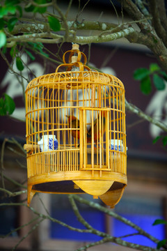 鳥籠