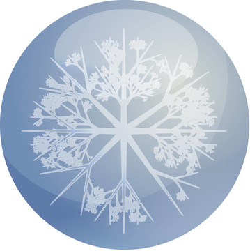雪花球