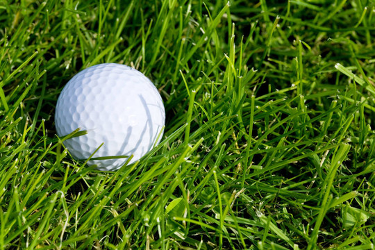 Golf Ball和草