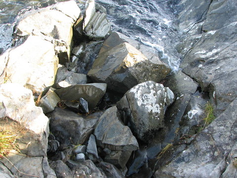 潮濕的石頭