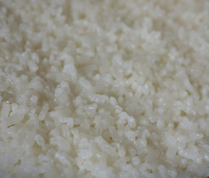 飯粒