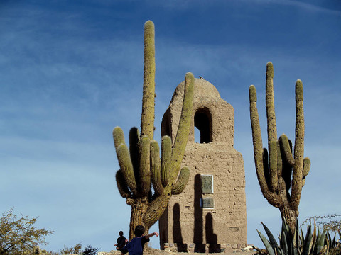 仙人掌和看風(fēng)景
