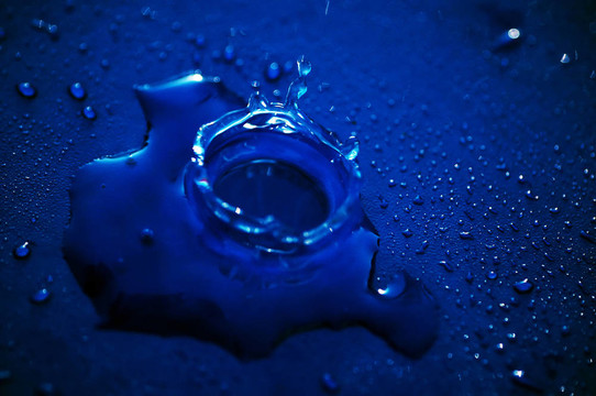 淺水冠