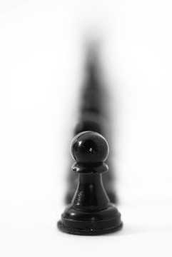 國(guó)際象棋的領(lǐng)導(dǎo)