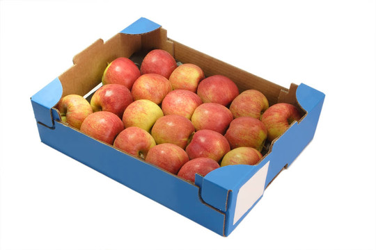 新鮮的apples_1