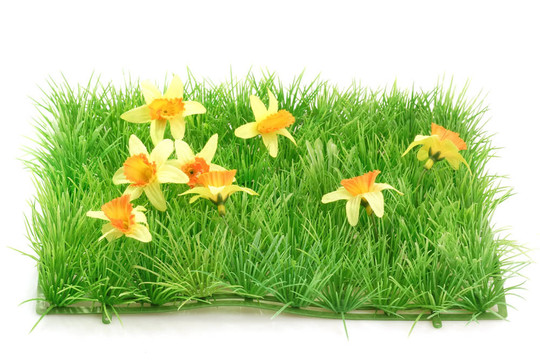 草meadow_2