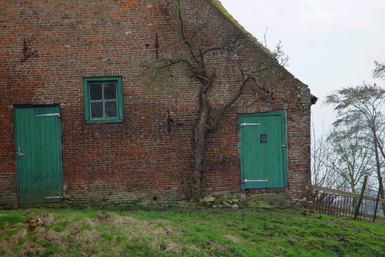 樹在farmshed