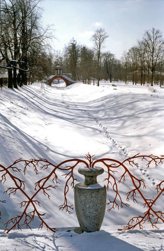 雪背景紅枝花瓶