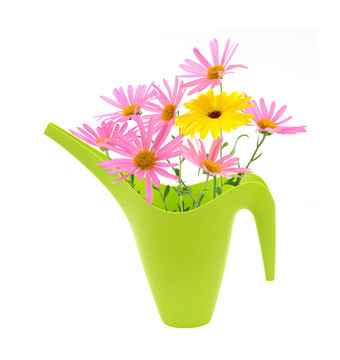 在澆水的雛菊花束CA