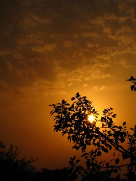 一個美麗的黃昏