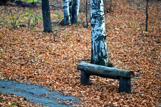 秋天公園長凳