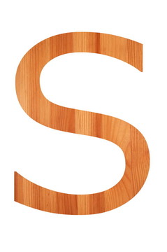 木字母S