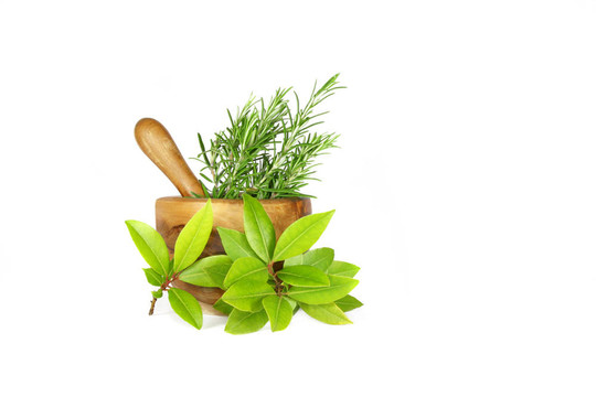 迷迭香和月桂葉草本植物