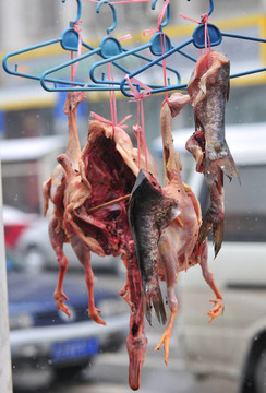 中國(guó)食品