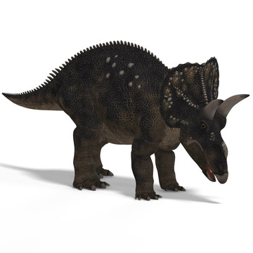 恐龍diceratops