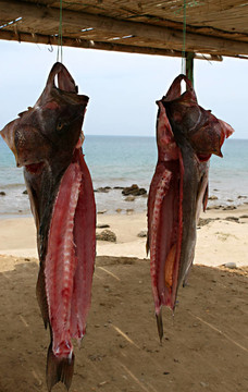 懸魚(yú)
