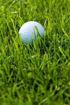Golf Ball和草