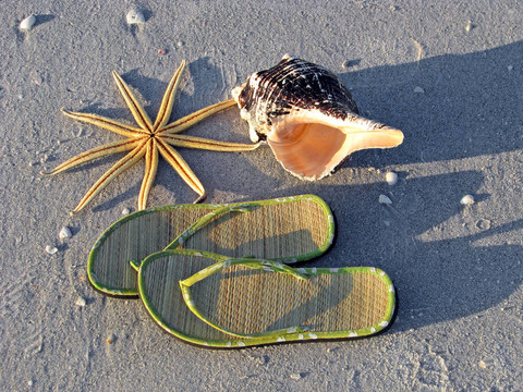 海星贝壳沙滩凉鞋