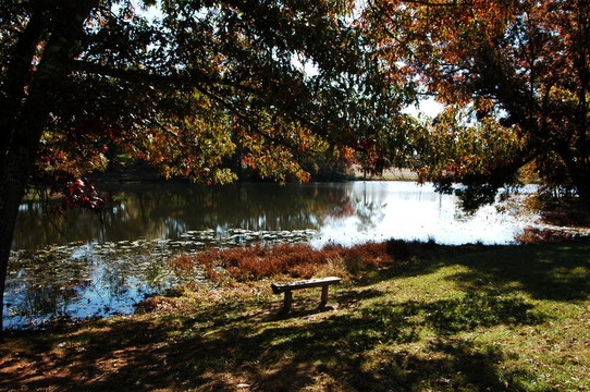 公園的長椅上