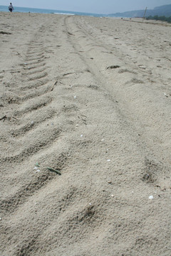 道路