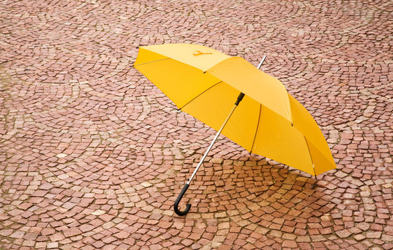 黃色的雨傘