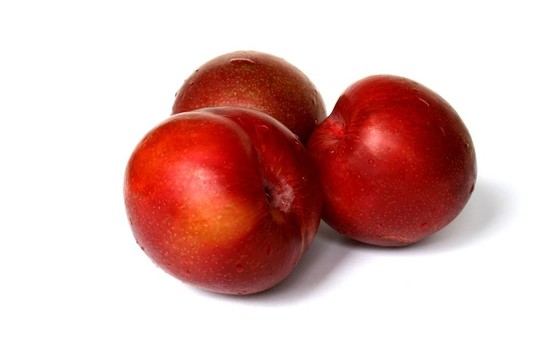紅梅