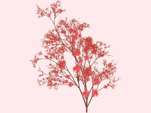櫻花盛開的藝術(shù)