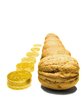 螺母和金錢