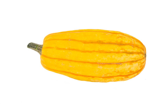 南瓜；食品；蔬菜；
