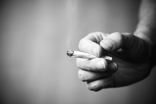 大麻聯(lián)合