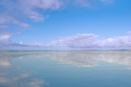 海景