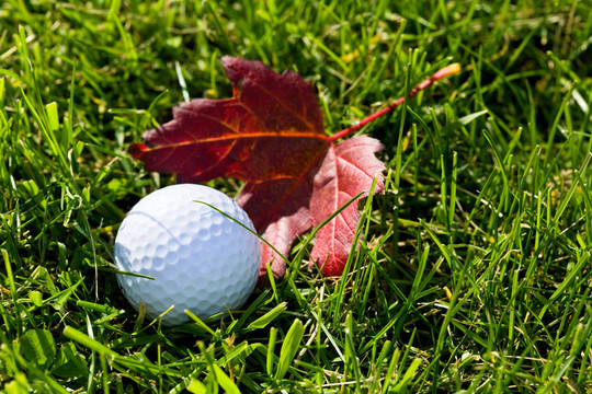 Golf Ball和草