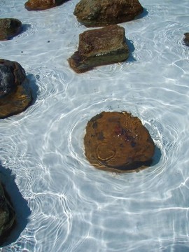 淺水巖石