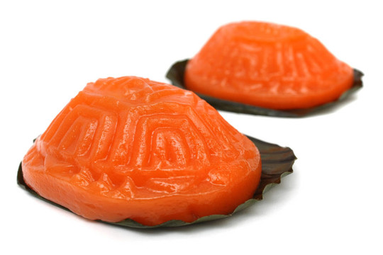 烏龜?shù)案? style=