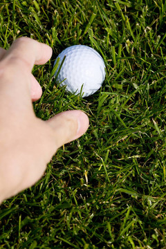 Golf Ball和草