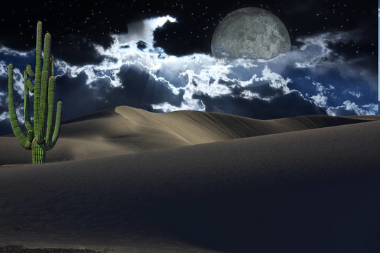 沙漠的星星