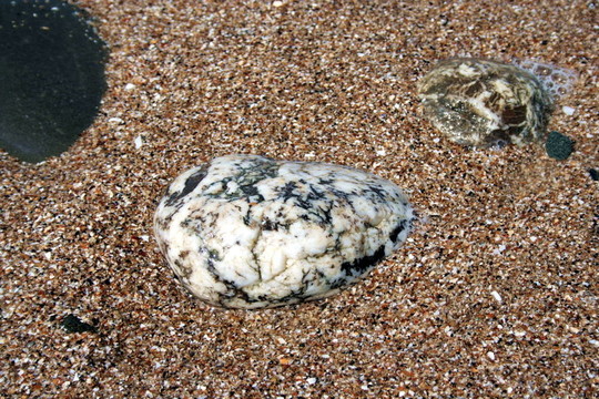灰色海卵石2