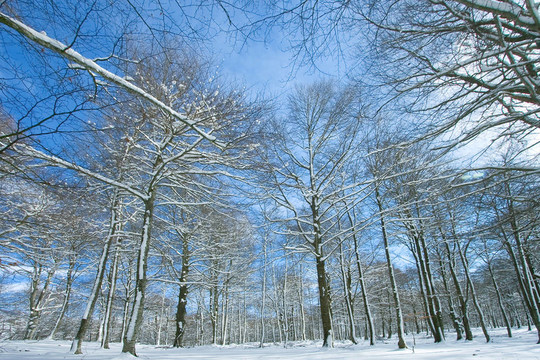 景觀覆蓋著雪的Opakua