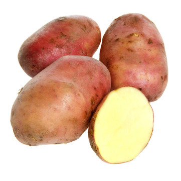 新土豆
