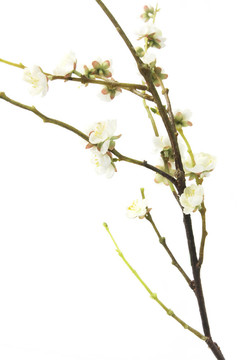 人工梅花